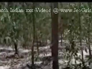 Ζούγκλα Ενήλικος βίντεο